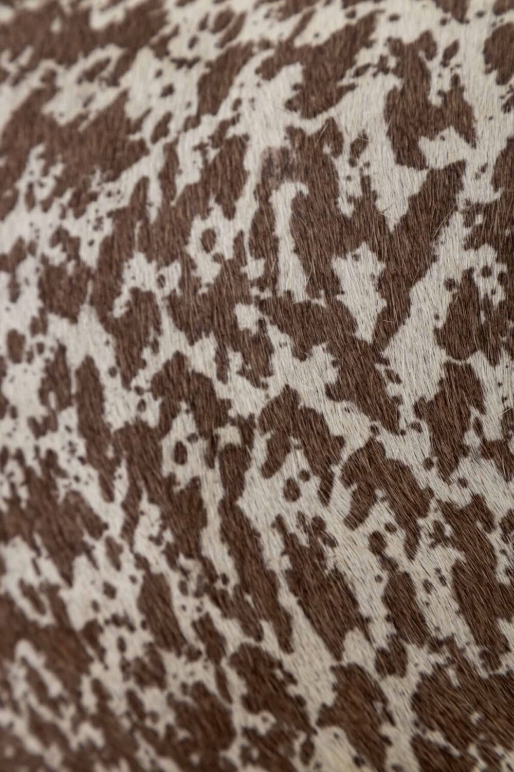 FURRY LEATHER - Imagen 2